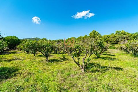 Landejendom i Son Servera, Mallorca, Son Servera - € 789.000 | Ref: UA247 - foto 32
